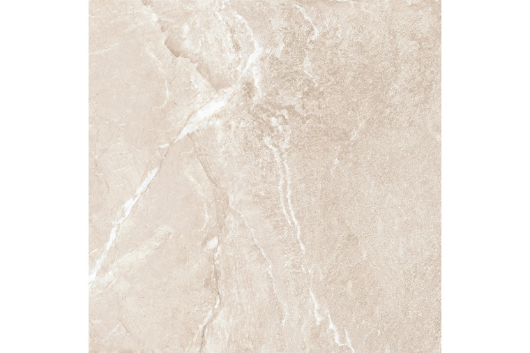 Керамогранит Wild Gold 60х60 New Trend  матовый D60262M - 1