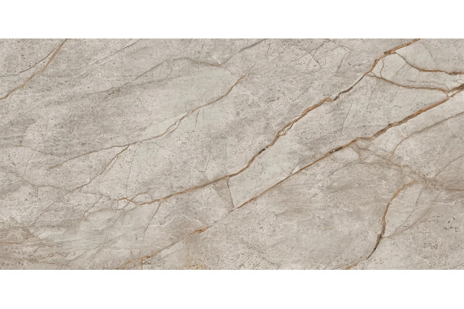 Керамогранит Empire Silver root MR 120x60 от Atlas Concorde - 1