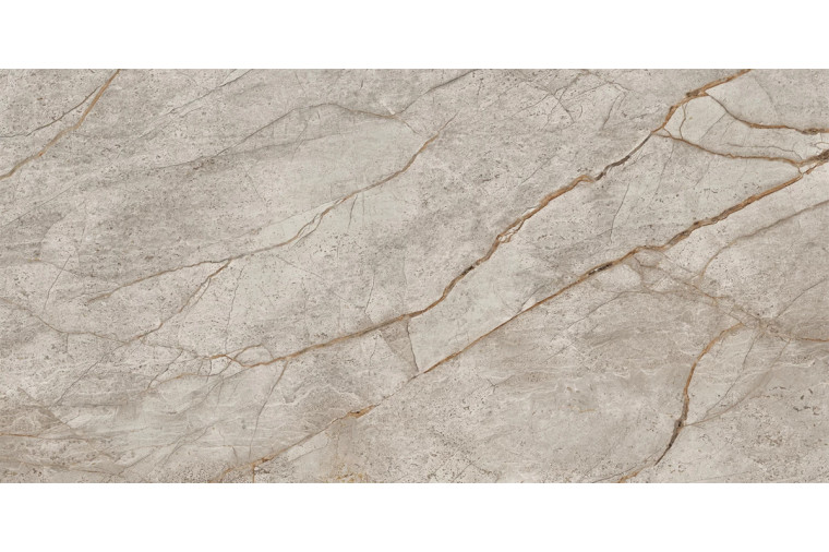 Керамогранит Empire Silver root MR 120x60 от Atlas Concorde - 1