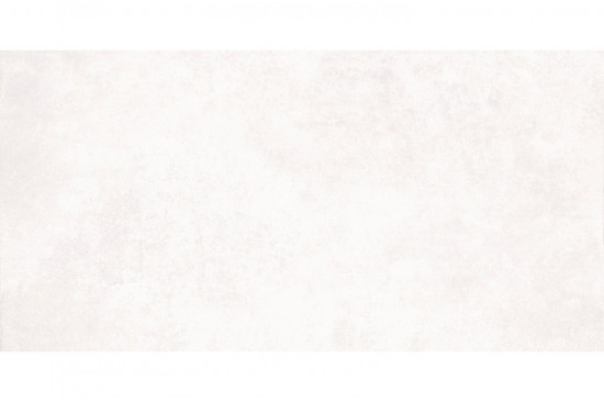 BALTIMORE 536 BAI1BN серый 60x120