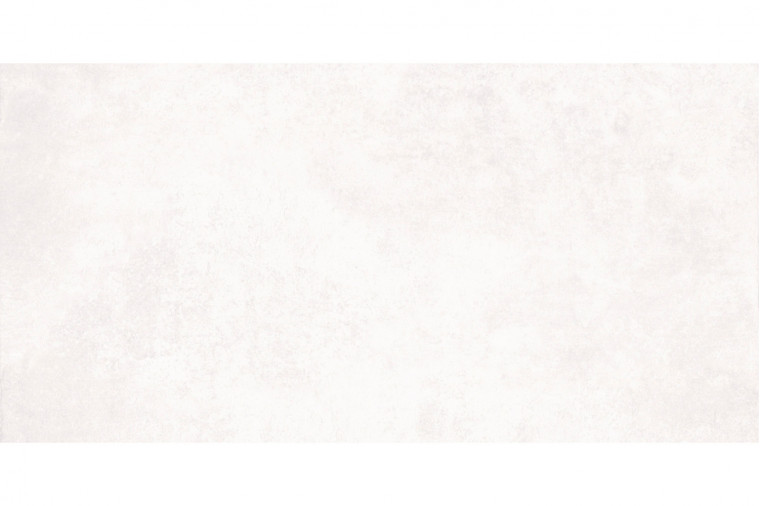 Керамогранит BALTIMORE 536 BAI1BN серый 60x120 от Eurotile - 1