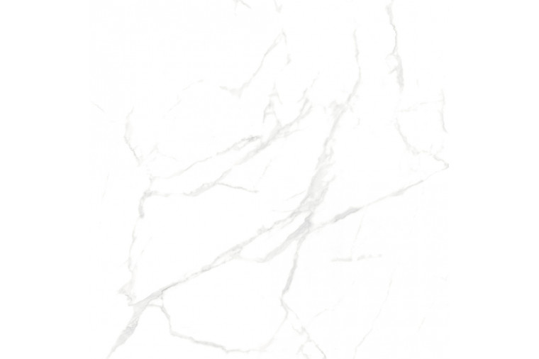 Керамогранит Calacatta Carving 600x600 NTT996070M - 2