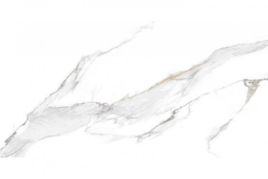 Venus Statuario 120x60 