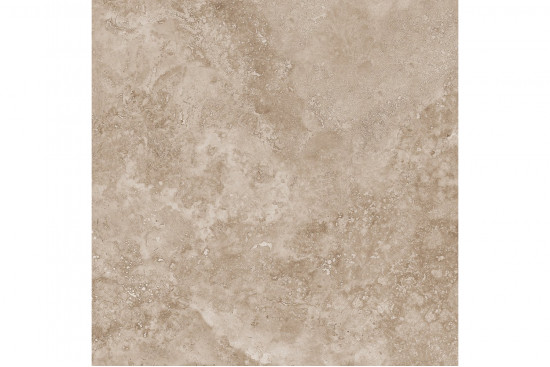 Mystical Charm Camel 60x60 